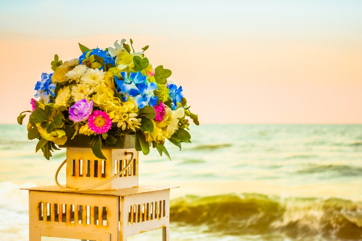 Cremation Services